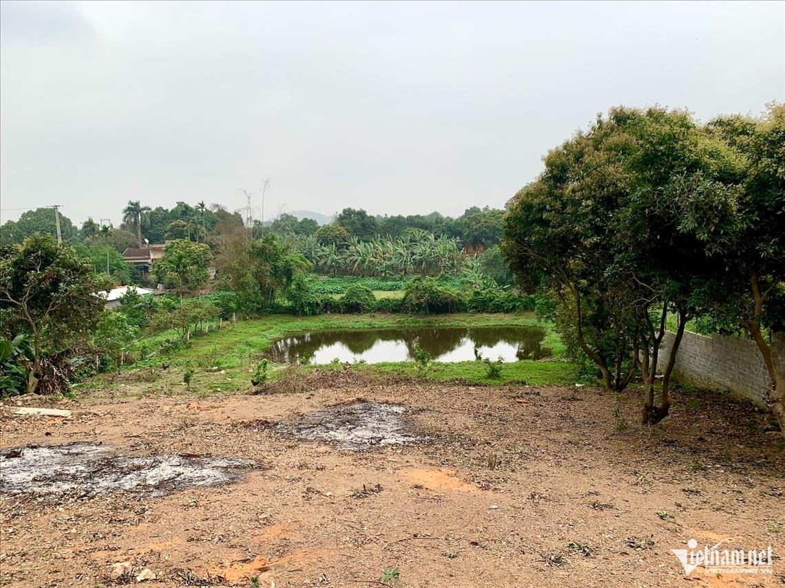 luat dat-dai-xay-dung-co-hieu-luc-nam-2026.jpg